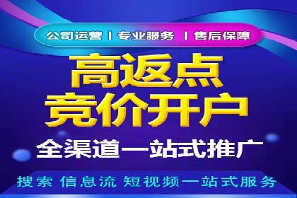 百度搜索引擎优化推广：成功案例揭秘
